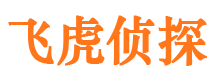 盐津捉小三公司